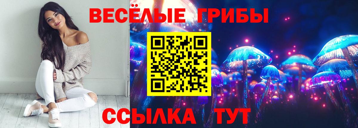 Богородицк  Псилоцибиновые грибы Psilocybine cubensis  Вход с VPN 